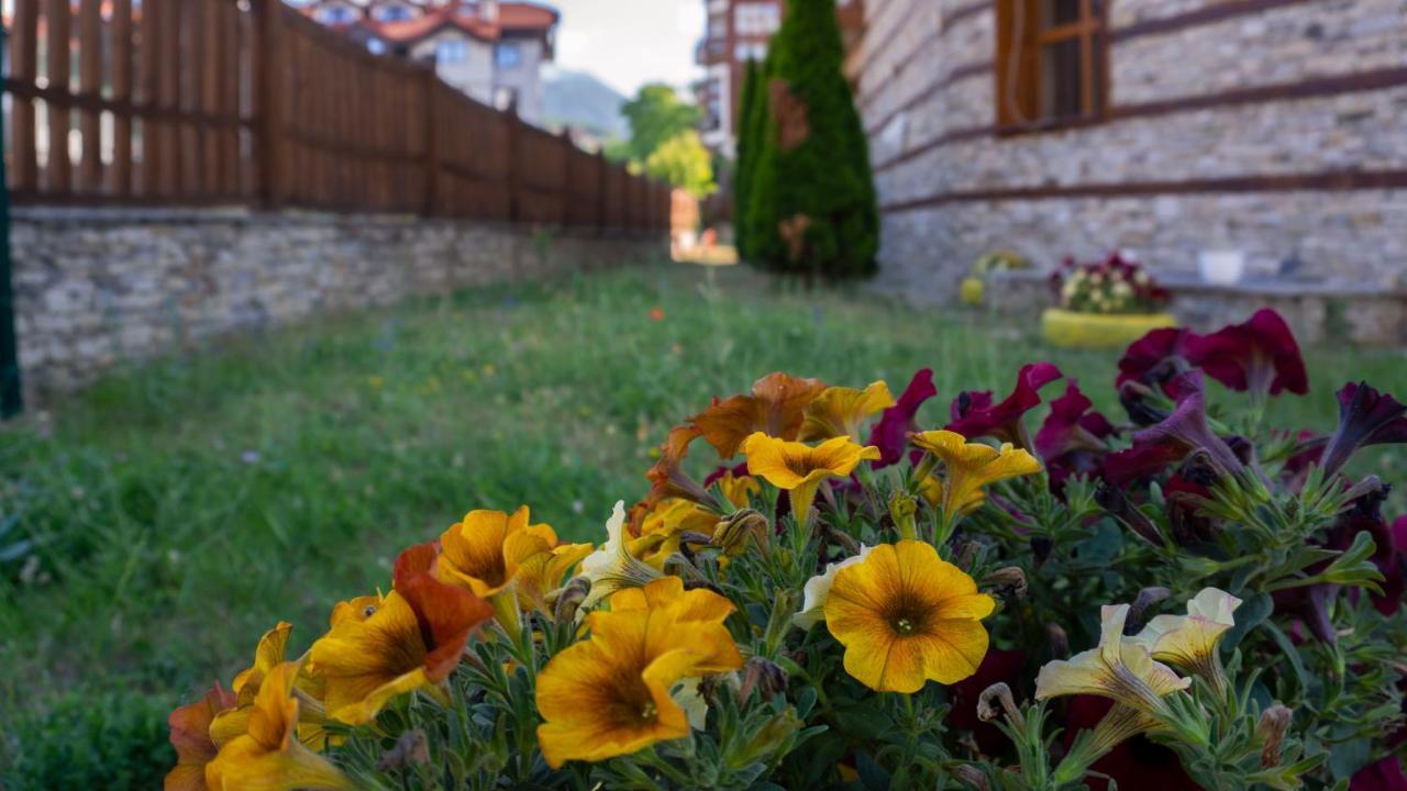 Two Bedroom Apartments In Murphys Lodge Bansko Luaran gambar